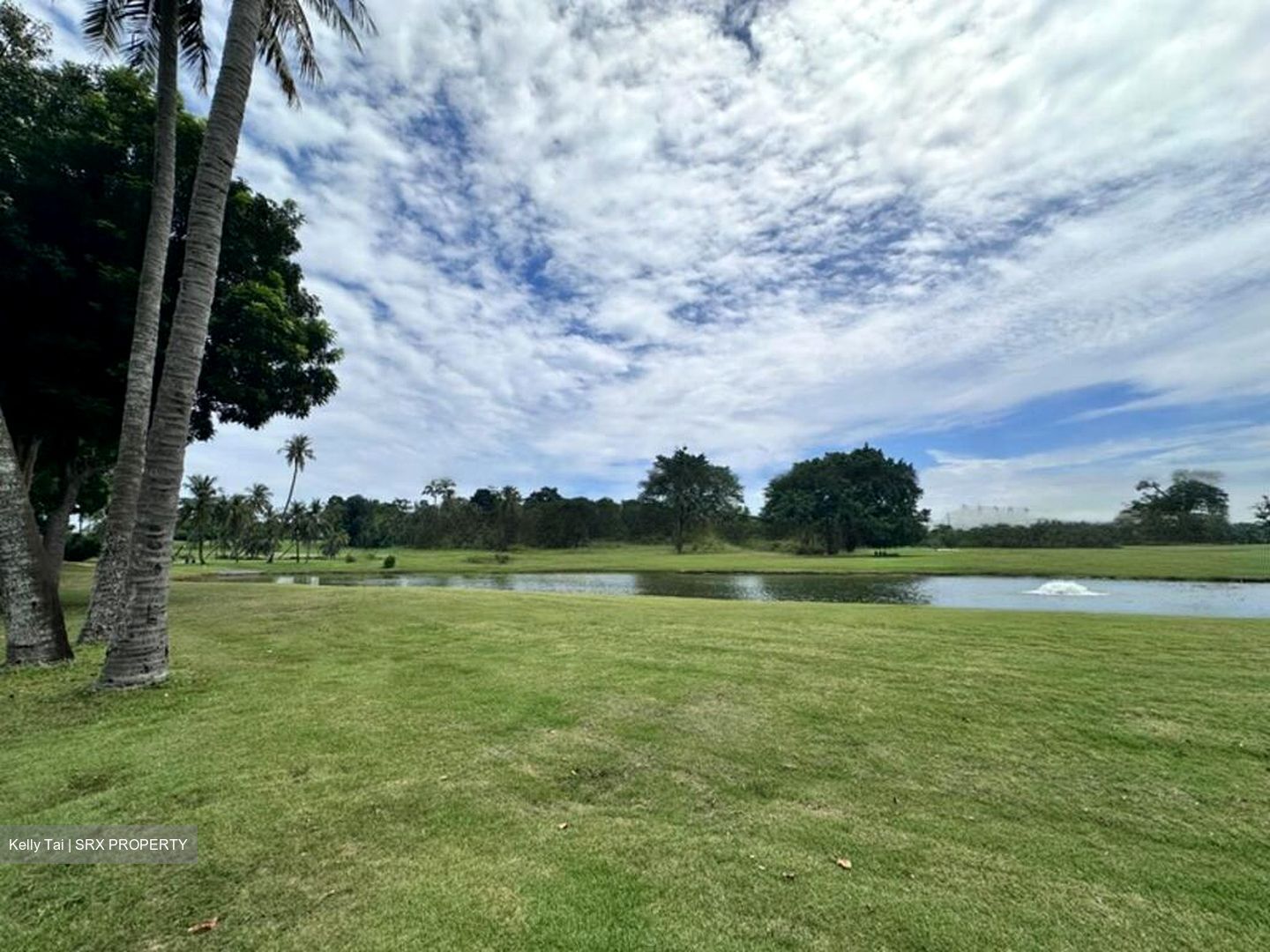 Cove Drive (D4), Detached #486113111